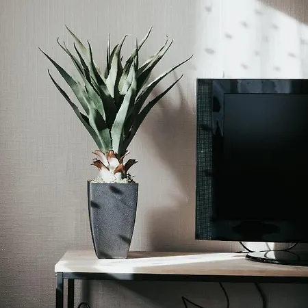 Daire L'adorable Confort & *