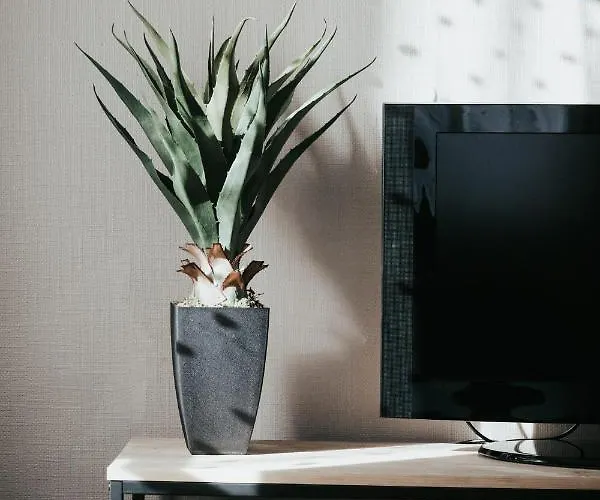 Appartement L'adorable Confort&central *